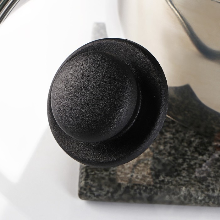 Крышка стеклянная для сковороды и кастрюли &laquo;Доляна&raquo;, d=22 см, нержавеющий обод, пластиковая ручка