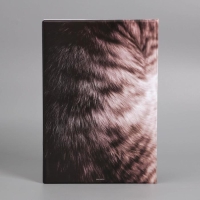 Папка для документов &laquo;Docs&raquo;, 8 файлов А4