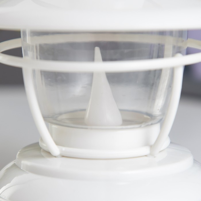 Ночник Ночник "Евлампия" LED 1Вт от батареек 2хАА белый 10х10х12см RISALUX