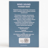 Туалетная вода мужская "Звук Ветра", "Снежная Гроза", 100 мл Туалетная вода мужская "Звук Ветра", "Снежная Гроза", 100 мл