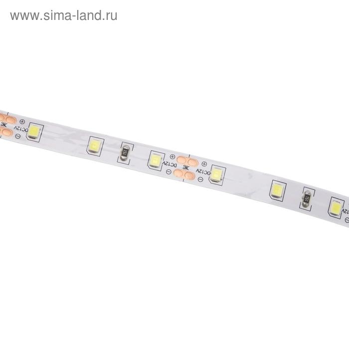 Светодиодная лента Ecola PRO 5 м, IP20, SMD2835, 60 LED/м, 8 Вт/м, 12 В, 6000К Светодиодная лента Ecola PRO 5 м, IP20, SMD2835, 60 LED/м, 8 Вт/м, 12 В, 6000К