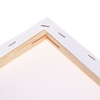 Холст на подрамнике, хлопок 100%, 1,6 х 25 х 30 см, акриловый грунт, среднезернистый, 380 г/м² Холст на подрамнике, хлопок 100%, 1,6 х 25 х 30 см, акриловый грунт, среднезернистый, 380 г/м²