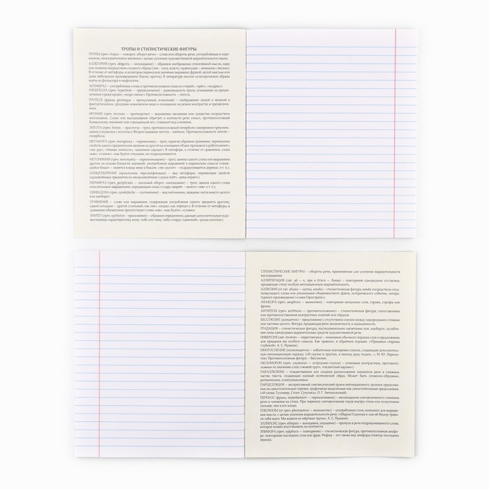 Предметная тетрадь А5, 48 л на скрепке &laquo;Неон. Литература&raquo; Софт тач лам, 3D лак