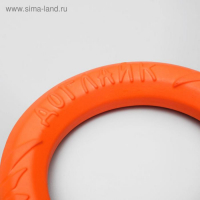 Кольцо "ДогЛайк" D-2614 , 8-мигранное, малое, 20 см Кольцо "ДогЛайк" D-2614 , 8-мигранное, малое, 20 см