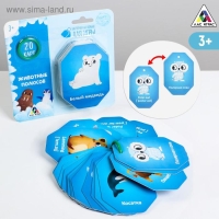 Карточки на кольце для изучения английского языка &laquo;Животные полюсов&raquo;, 20 карт, кольцо, 3+