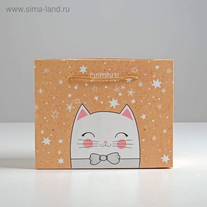 Пакет&mdash;коробка &laquo;Сюрприз!&raquo;, 23 х18 х11 см