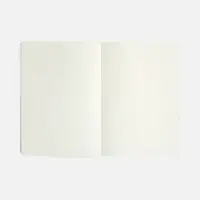 Ежедневник Vale New, недатированный, оранжевый