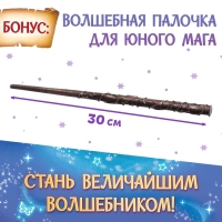 Подарочный набор &laquo;Набор волшебника&raquo;, книги, плакат, волшебная палочка, 6+
