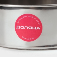 Сито для просеивания Доляна &laquo;Металлик&raquo;, d=13 см, цвет серебристый