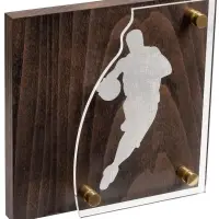 Награда Celebration, баскетбол Награда Celebration, баскетбол