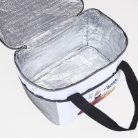 Термосумка на молнии, объём 10л, цвет серый Термосумка на молнии, объём 10л, цвет серый