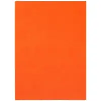 Ежедневник Flat Light, недатированный, оранжевый Ежедневник Flat Light, недатированный, оранжевый