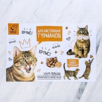 Коврик под миску «Для настоящих гурманов» 43х28 см Коврик под миску «Для настоящих гурманов» 43х28 см