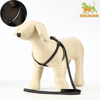 Комплект светоотражающий "Косточки", поводок 1 х 120 см (ОШ 22-34 см ,ОГ 22-34 см) чёрный Комплект светоотражающий "Косточки", поводок 1 х 120 см (ОШ 22-34 см ,ОГ 22-34 см) чёрный