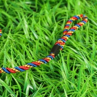 Поводок круглый "Скрутка", 1 х 120 см, сине-красно-жёлтый