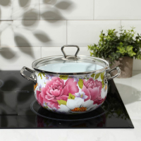 Кастрюля эмалированная «Пион», 3.1 л, индукция Кастрюля эмалированная «Пион», 3.1 л, индукция