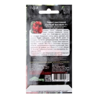 Семена Томат "Сытый Хозяин", F1, 10 шт Семена Томат "Сытый Хозяин", F1, 10 шт