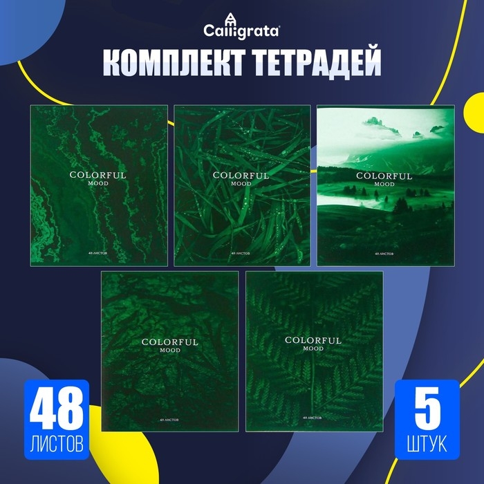 Комплект тетрадей из 5 штук, 48 листов в клетку Calligrata Комплект тетрадей из 5 штук, 48 листов в клетку Calligrata "Изумруд", обложка мелованный картон, блок №2, белизна 75% (серые листы)