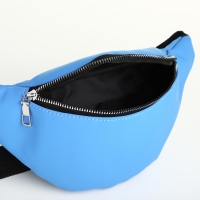 Сумка поясная на молнии, цвет синий Сумка поясная на молнии, цвет синий