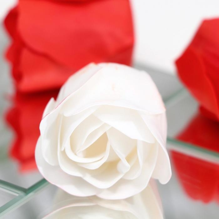 Мыльные розочки, красные и белые, набор 9 шт. Мыльные розочки, красные и белые, набор 9 шт.