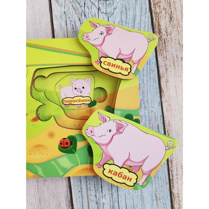 Вкладыш больше-меньше &laquo;Папа-мама-я&raquo;