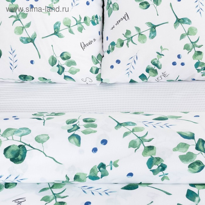 Постельное бельё &laquo;Этель&raquo; 1.5 сп Листья эвкалипта 143*215 см,150*214 см, 70*70 см 2 шт