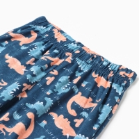 Пижама для мальчика (лонгслив/штанишки), цвет синий/дракон, рост 98 см Пижама для мальчика (лонгслив/штанишки), цвет синий/дракон, рост 98 см