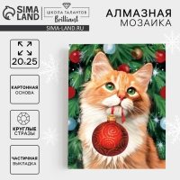 Алмазная мозаика на новый год с частичным заполнением &laquo;Рыжий кот&raquo;, 20 х 25 см, новогодний набор для творчества