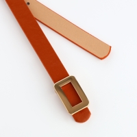 Ремень женский, ширина 1,6 см, пряжка металл, цвет рыжий Ремень женский, ширина 1,6 см, пряжка металл, цвет рыжий