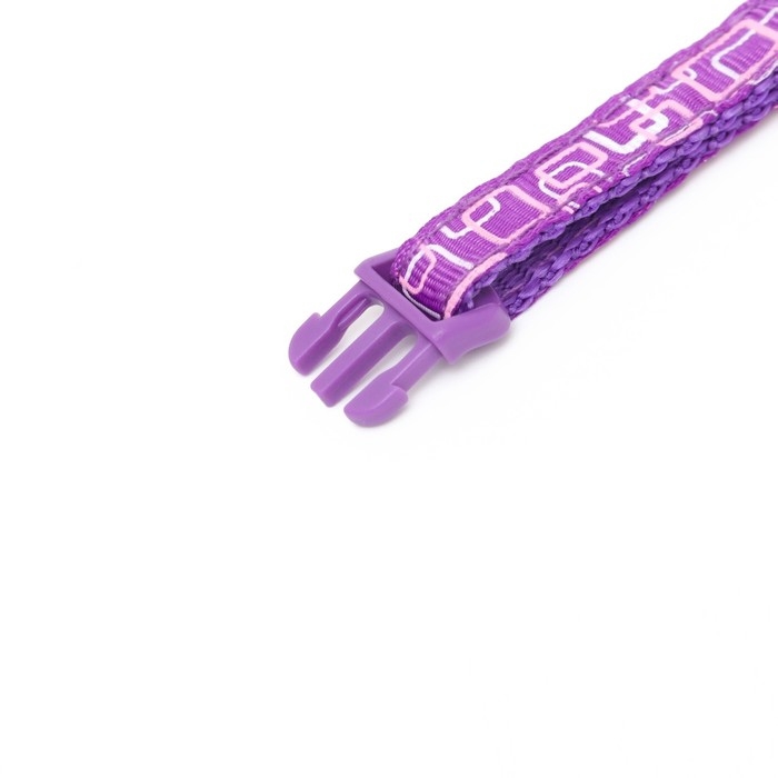 Ошейник двухслойный с фастексом Ошейник двухслойный с фастексом "Квадраты", 30 х 1 см, фиолетовый