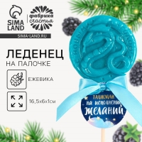 Новый год! Леденец на палочке &laquo;Талисман на исполнение желаний&raquo;, вкус ежевика, 30 г