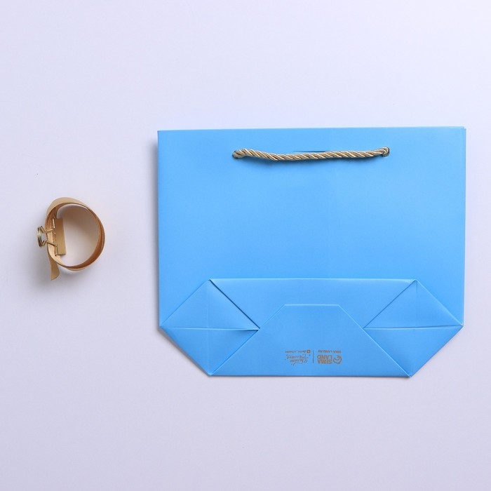 Пакет подарочный, упаковка, &laquo;Сюрприз&raquo;, 14 х 17 х 7 см