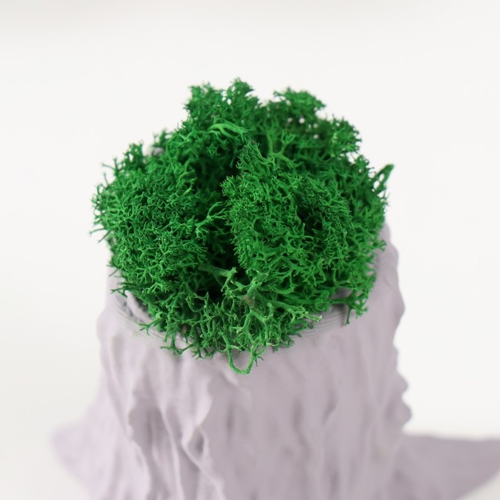 Кашпо бетонное "Пенек" 7,5х8,5х7 см серый со мхом (мох зеленый стабилизированный)