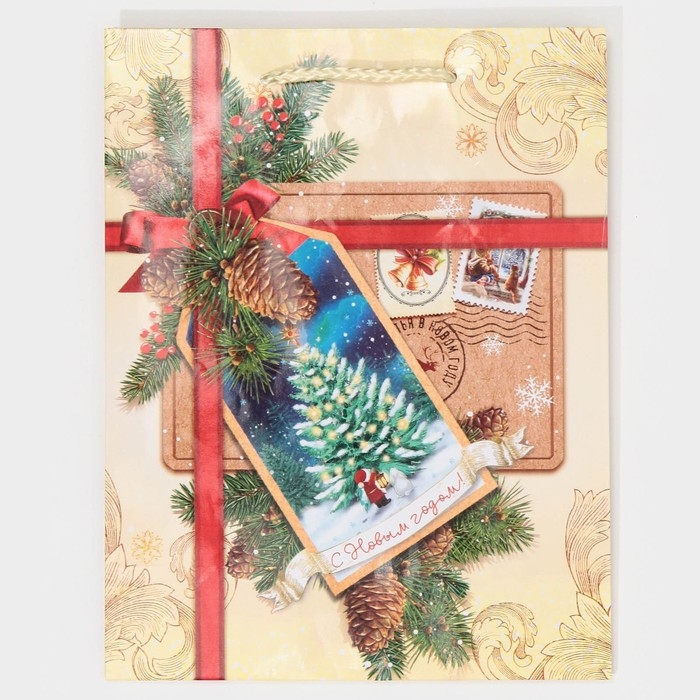 Пакет подарочный новогодний ламинированный &laquo;С Новым годом!&raquo;, MS 18 х 23 х 8 см