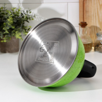 Чайник со свистком из нержавеющей стали Доляна &laquo;Рио&raquo;, 2,8 л, фиксированная ручка, цвет зелёный