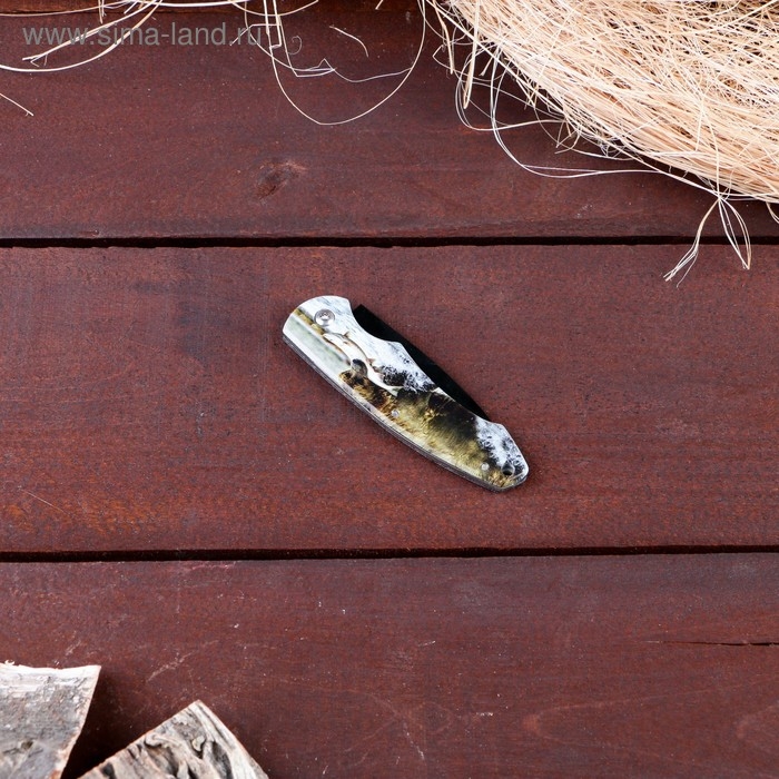 Нож складной Нож складной "Медведь на охоте" 12,6см, клинок 70мм/2,3мм