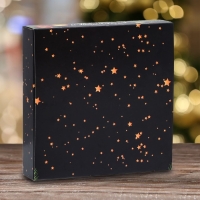 Новый год. Упаковка для конфет 16 шт &laquo;Новогодние ветви&raquo;, 17,7 х 17,7 х 3,8 см