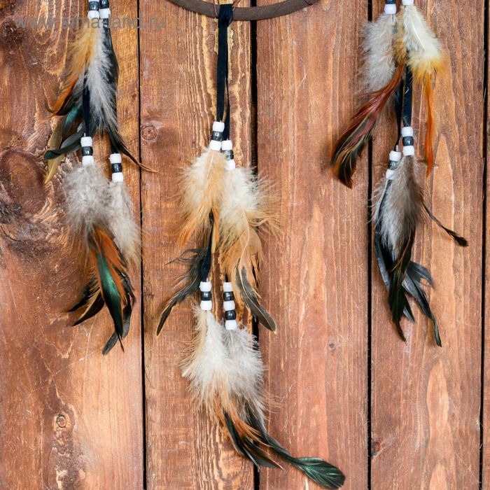 Ловец снов "Совы", d 20 см