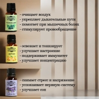 Набор эфирных масел "Лесные ноты" 9 шт по 17 мл Добропаровъ Набор эфирных масел "Лесные ноты" 9 шт по 17 мл Добропаровъ