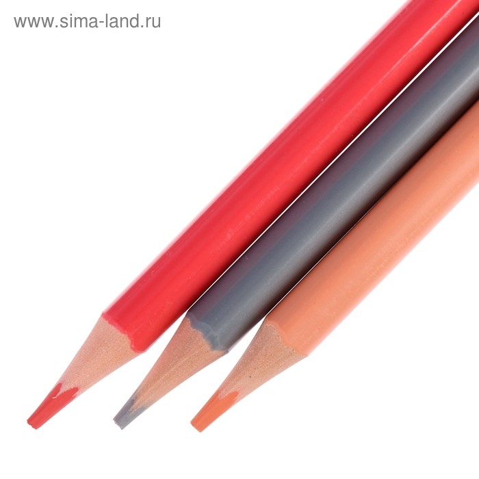 Карандаши цветные 36 цветов Funcolor пластиковые, МИКС