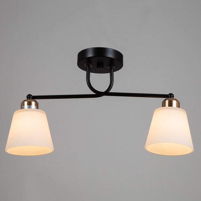 Люстра Люстра "Адель" 2х40Вт Е27 черный/золото 45х12х25см