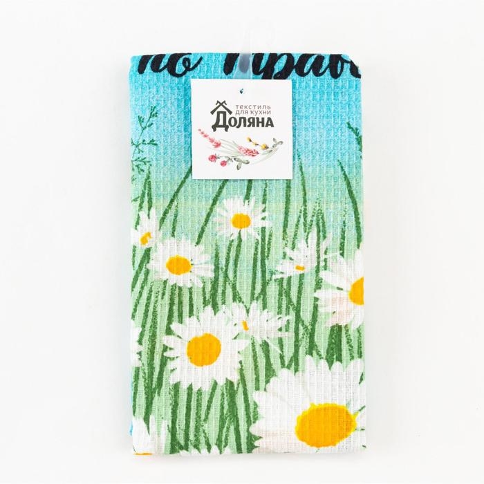 Полотенце кухонное Доляна &laquo;Лето&raquo; 35х60 см, 100% хл, 160г/м2
