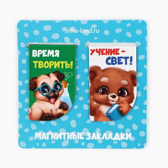 Подарочный набор на выпускной в папке 7 предметов «Выпускник детского сада» Подарочный набор на выпускной в папке 7 предметов «Выпускник детского сада»