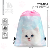 Мешок для обуви &laquo;Мысли кота&raquo; нетканное полотно, размер 30 х 40 см МИКС