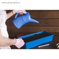 Лейка, 2 л, без рассеивателя, МИКС, &laquo;Лотос&raquo;