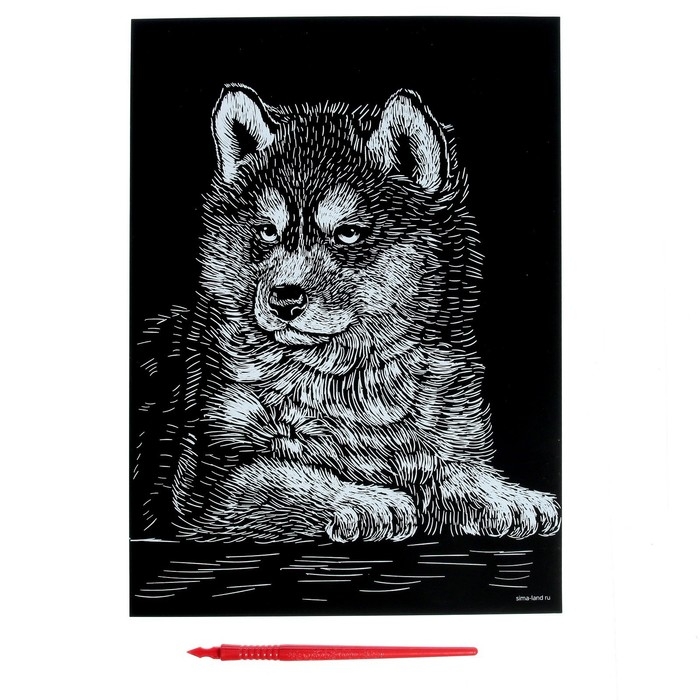 Гравюра «Щенок хаски» с металлическим эффектом «серебро» А4 Гравюра «Щенок хаски» с металлическим эффектом «серебро» А4