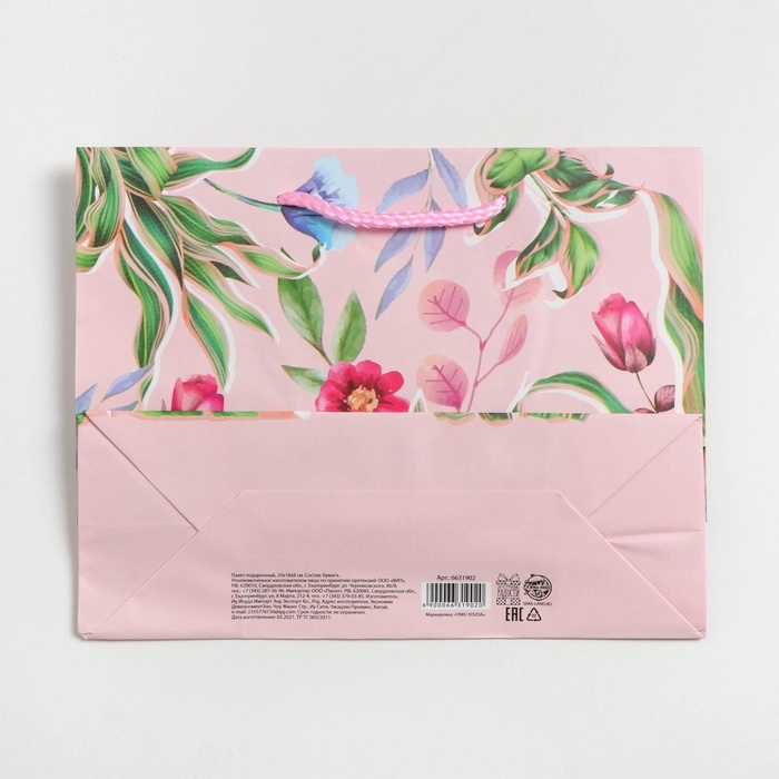 Пакет подарочный ламинированный горизонтальный, упаковка, &laquo;С праздником&raquo;, MS 18 х 23 х 8 см