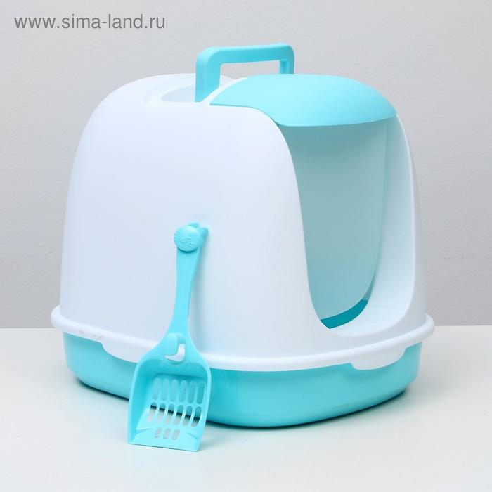 Туалет закрытый с совком, 47 х 40 х 39 см, бело-голубой Туалет закрытый с совком, 47 х 40 х 39 см, бело-голубой