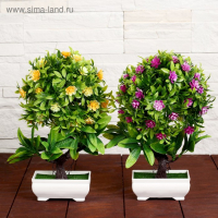 Бонсай в горшке "Деревце с мелкими цветами" 10х25 см, микс Бонсай в горшке "Деревце с мелкими цветами" 10х25 см, микс