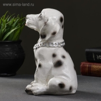 Копилка "Далматинец с цепью" 18см Копилка "Далматинец с цепью" 18см